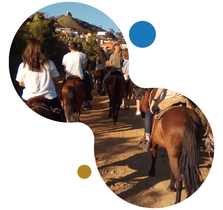 horses tour