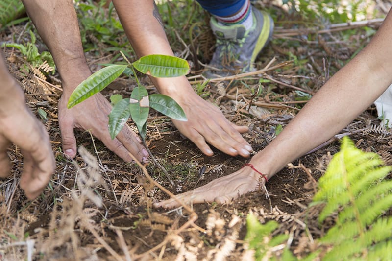 Permaculture1