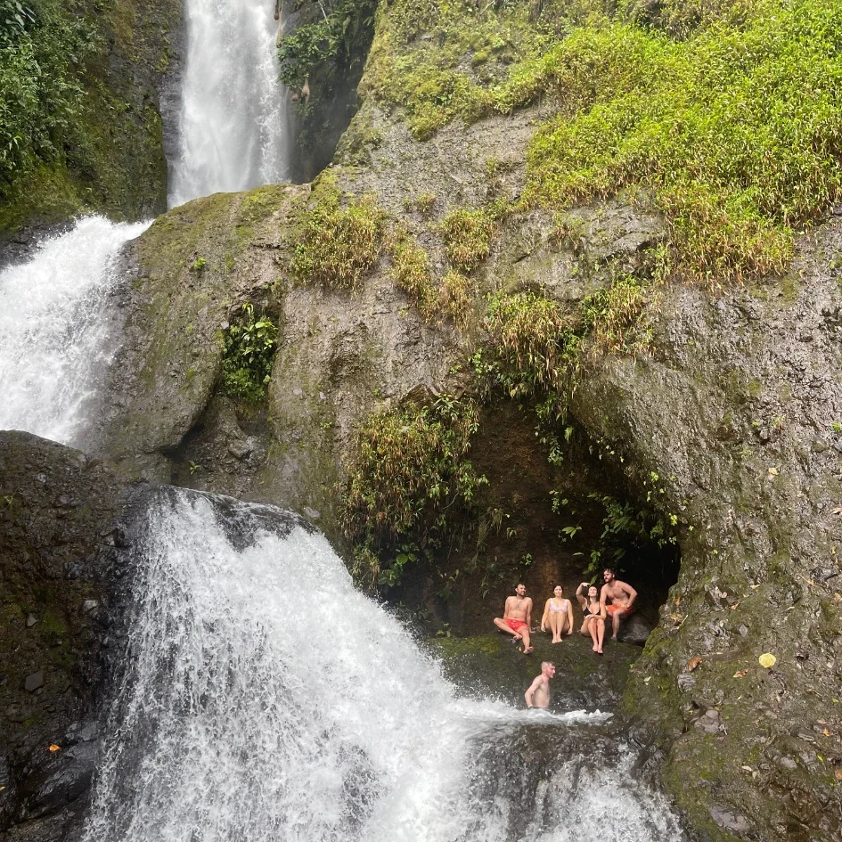 lomonos_waterfall.webp Food Icon