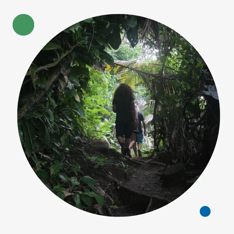 exploring_riverside_colombia_paths.webp horses tour